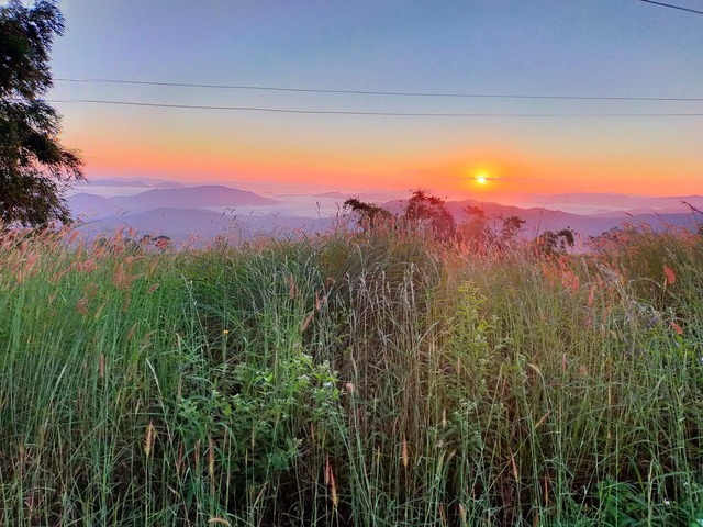 Mae Toey - Thailand - Image 4