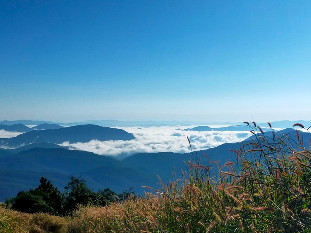 Mae Toey - Thailand - Image 10