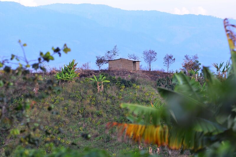 Familia Gómez - Colombia - Image 10
