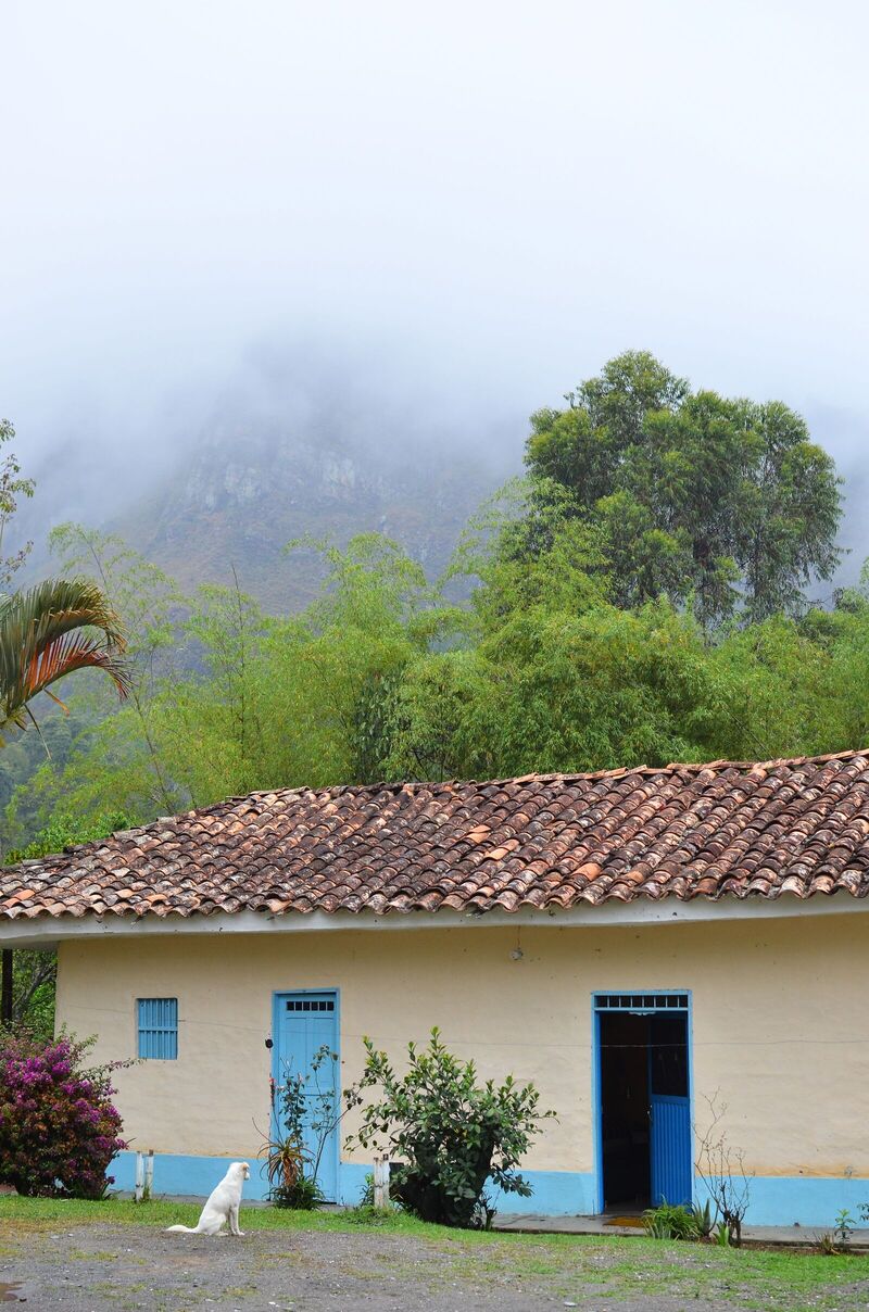 Familia Gómez - Colombia - Image 5