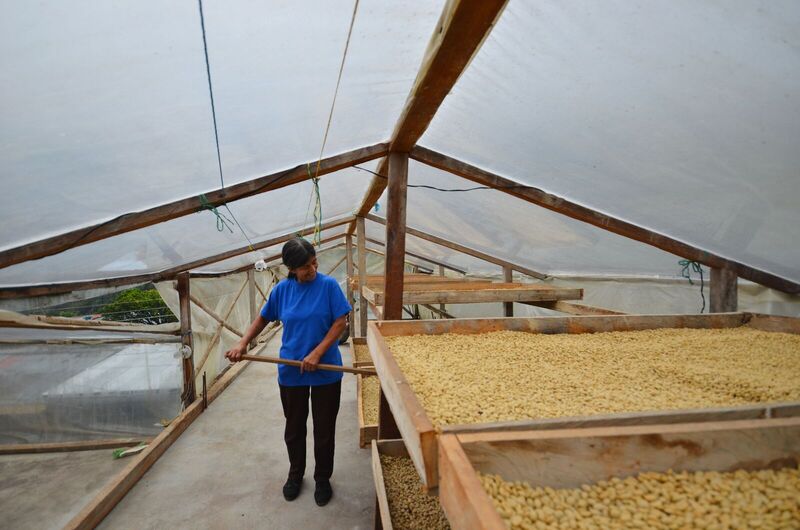 Familia Gómez - Colombia - Image 6