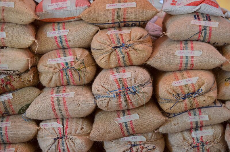 Familia Gómez - Colombia