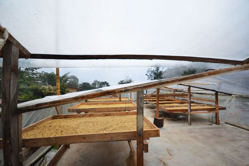 Familia Gómez - Colombia - Image 12