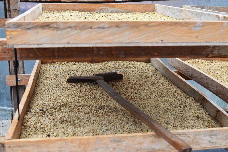 Familia Gómez - Colombia - Image 7