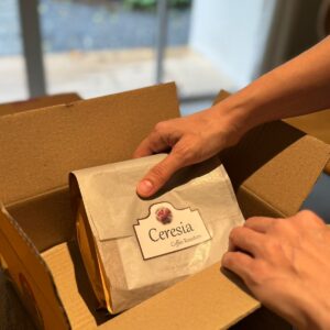 6 Months Subscription