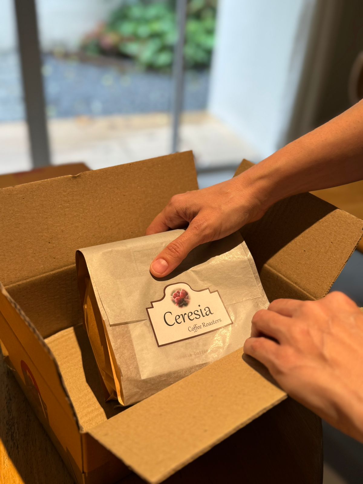 6 Months Subscription